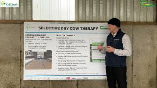 Selective Dry Cow Therapy - Willie Buckley