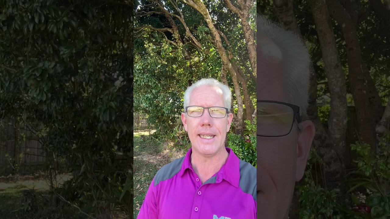 🏡 Palmwoods - Sunshine Coast Hinterland Property Update 🌞