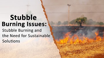 Burning Issues: Stubble Burning and the Need for Sustainable Solutions #stubble #stubbleburning