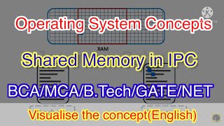 Celebrity Shared Memory System Net Worth