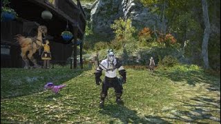 Unlocking Mounts in FFXIV