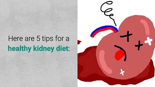 Kidney Diet - 5 Tips for a Healthy Kidney Diet