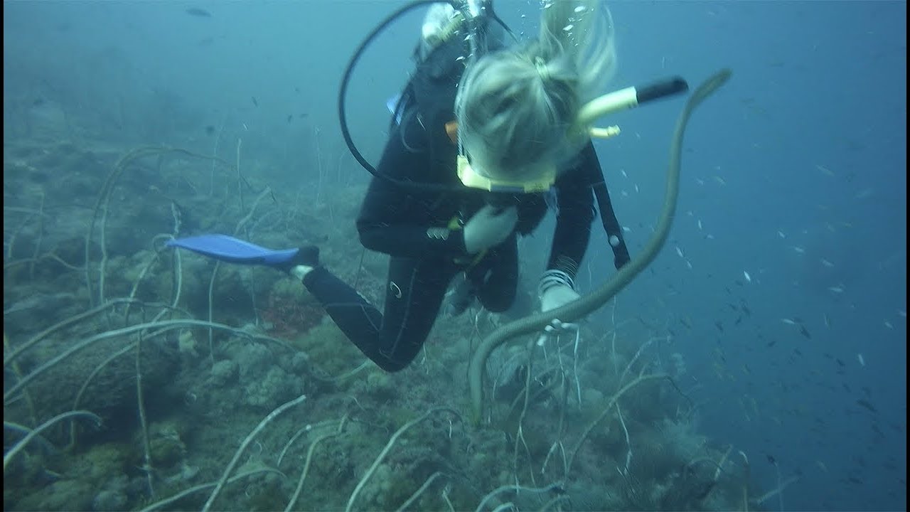 SCUBA diving the SS Yongala shipwreck