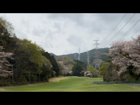 前半45…ベスト更新なるか⁉️🔥90切りチャレンジ｜伊勢原カントリー⛳️天気最高☀️ビール飲みすぎた😂