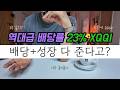 XQQI, 포트폴리오에 담기 전 반드시 점검해야 할 투자 기준(JEPQ QQQI)