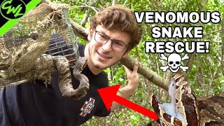 VENOMOUS SNAKE RESCUE!!!