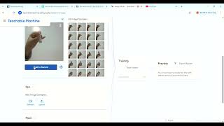 Famous AI Image Classification Model using Google Teachable Machine Profile