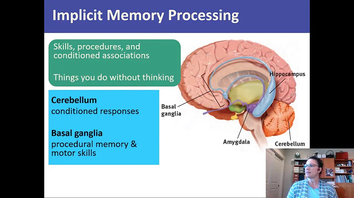 Introductory Psychology Memory: Storage & Retrieval