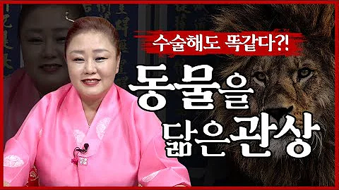 여우상 여자 여우상 여자