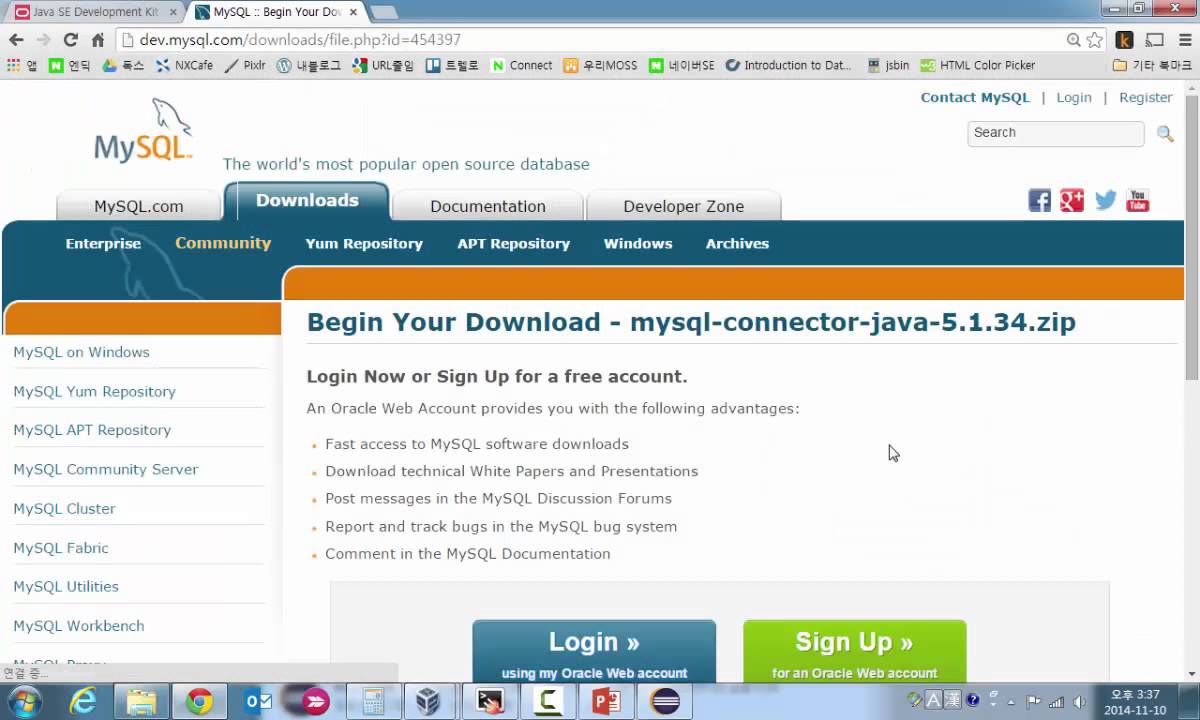 mysql jdbc url example