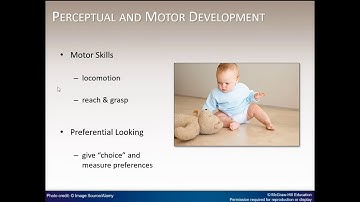 Chapter 9 Human Development Narrated PowerPoint
