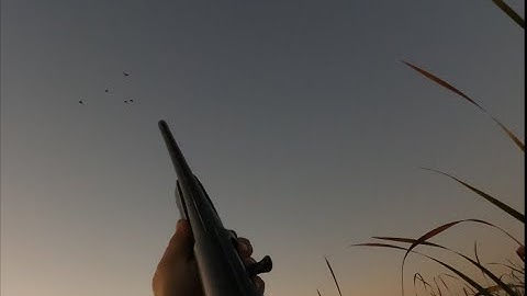PUBLIC LAND DUCK HUNT DAY 2