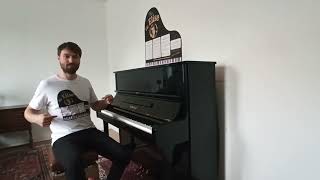 Für Elise For Elise Ludwig van Beethoven Played by Jordan Toms Sideview version 2