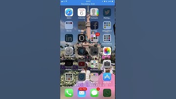 Anyone managed to fix " Cannot Connect to App Store " in iOS 11 Beta ?