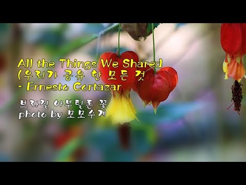 <strong>All</strong> the Things We Shared (우리가 공유 한 모든 것) / Ernesto Cortazar &amp;<strong>amp</strong>; photo by 모모수계
