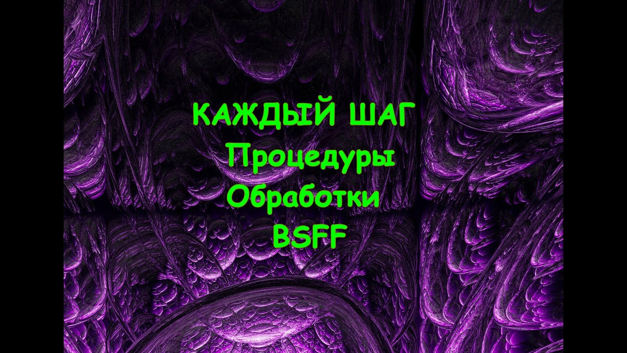 BSFF. Глава 6  Процедура обработки BSFF. Стань Свободным Быстро. Л. Нимс и Д.Соткин.