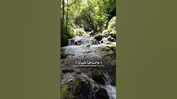 قران كريم #قرآن #قران_كريم #تلاوة_خاشعة #المنشاوي