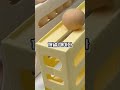 와.. 진작 살걸; 냉장고 공간 3배 넓어지는 미친 아이템 #냉장고정리 #살림템 #주방꿀템