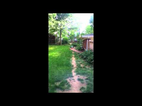 Backyard explosion