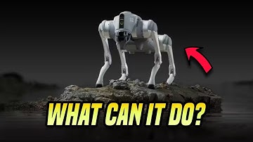 Exploring Robotic Capabilities: Unleashing the Power of Robot Dogs with Unitree