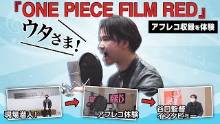 『ONE PIECE FILM RED』収録現場に潜入！ガヤアフレコ体験レポート