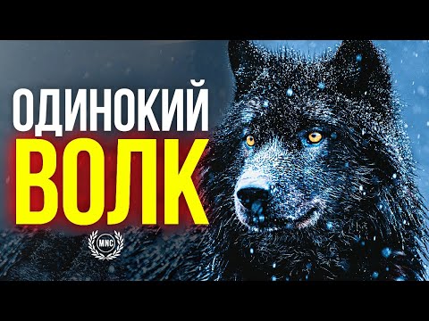 Сборник Мотивационных Речей #8 - ОДИНОКИЙ ВОЛК (Для тех кто - ОДИН)