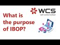 What is the purpose of IBOP?