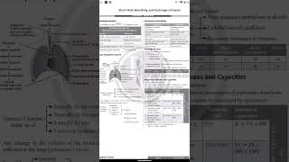 breathing and exchange of gases short notes for neet #youtubeshorts #trending #study #neet