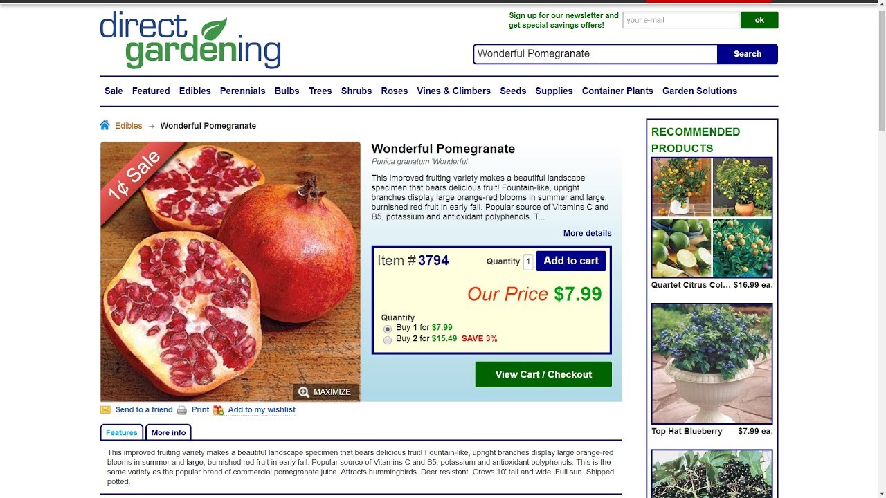 Direct Gardening Review Wonderful Pomegranate Tree Youtube