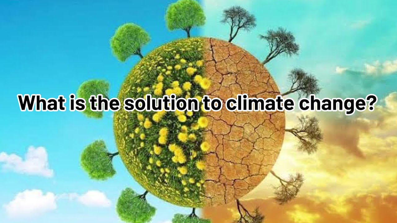 Biodiversity Conservation to Mitigate Climate Change