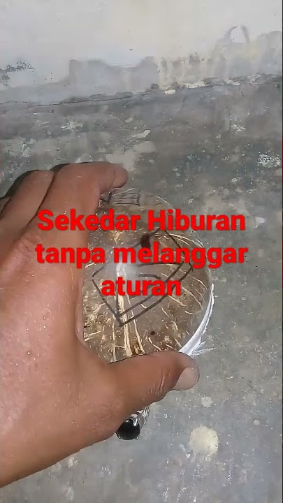 TES JIMAT TEMBUS DADU