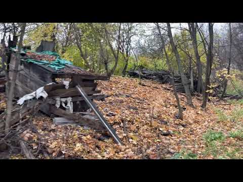Уфа, кошкин лес, со стороны улицы Энтузиастов, осень 2023. Ufa, cat forest....