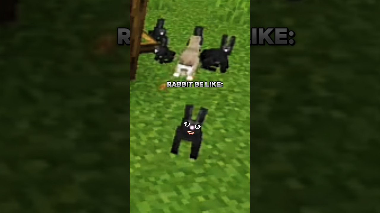 🐇 Minecraft Rabbit Trap 💀🔥 