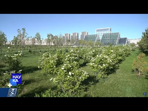Адаптация к изменению климата | Наука