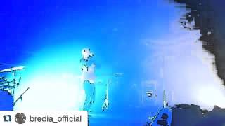 Bredia Elise Santoro And Her Family Was At A Concert