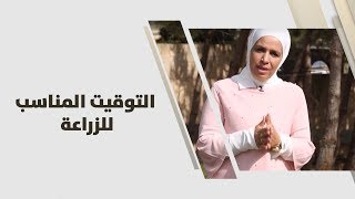 أمل القيمري - التوقيت المناسب للزراعة