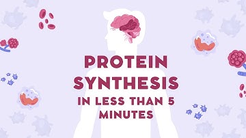 PROTEIN SYNTHESIS (TRANSCRIPTION & TRANSLATION) IGCSE Revision - 5 minute Biology!