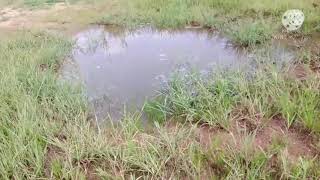 Trip To Konda Pochama Resorvoir With Family Full Enjoy