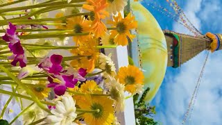 Om Mane Pemme Hung Amling Basante Vlog