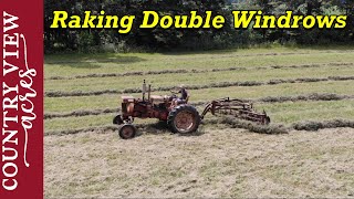 The hay is looking good, but I'm Raking Double Windrows since there is less of it.