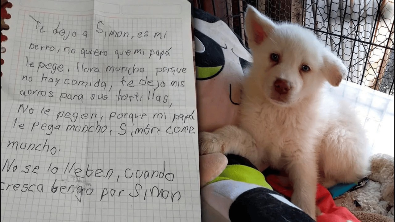 Little Boy Leaves His Beloved Dog at Shelter With a Heartbreaking ...
