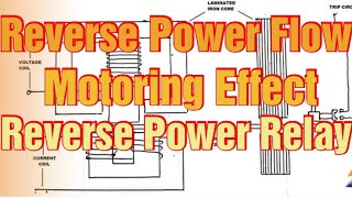 Reverse power flow, motoring effect, Reverse power relay Profile