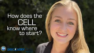 The Hidden DNA Code That Controls Your Genes | Podcast