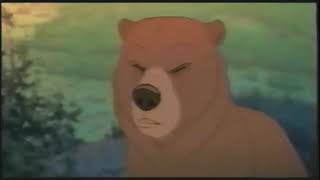 Opening To Winnie The Pooh Springtime With Roo 2004 Vhs