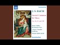 Der Friede Sei Mit Dir BWV 158 Chorale Hier Ist Das Rechte Osterlamm Chorus mp3
