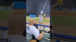 Mascot's Jest Involving a Man at Baseball Game