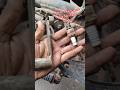Spark plug remove. two stroke scooters ⚙️Easy way 💪#automobile #share #bike #yoitubeshorts #viral