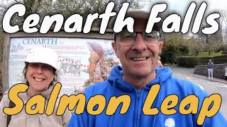 Cenarth Falls - Salmon Leap