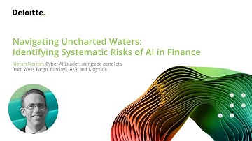 AI Summit NY 2024 | Navigating Uncharted Waters – Identifying Systematic Risks of AI in Finance
