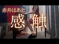 【赤井はあと】「感触」(Short ver) を弾いてみました。